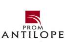 agent immobilier promantilope (Marrakech principal 40000)