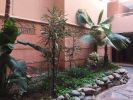 Location Appartement Marrakech Gueliz 56 m2 2 pieces