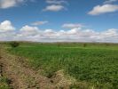 Vente Terrain Marrakech route de Fes 40000 m2