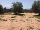 Vente Terrain Marrakech Sidi Abbad 1000 m2