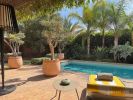 Location vacances Villa Marrakech  210 m2 Maroc - photo 2