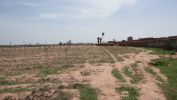 Vente Terrain Marrakech route de Fes 10000 m2