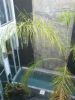 Vente Riad Marrakech Medina 7 pieces