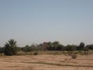 Vente Terrain Marrakech Targa 50000 m2 Maroc