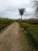 Vente Terrain Marrakech Centre ville