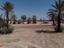 Vente Terrain Marrakech Palmeraie
