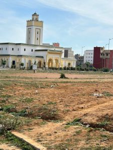 photo annonce For sale Land   Morrocco