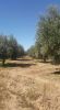 For sale Land Marrakech route de Fes