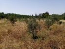 For sale Land Marrakech route de l Ourika