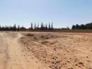 For sale Land Marrakech route de Fes Maroc