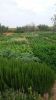 For sale Land Marrakech route Amizmiz