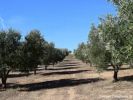 For sale Land Marrakech Quartier industriel