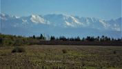 For sale Land Marrakech Centre ville