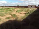 For sale Land Marrakech  6000 m2 Morocco - photo 1