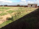 For sale Land Marrakech  6000 m2 Morocco - photo 2
