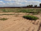 For sale Land Marrakech  6000 m2 Morocco - photo 3