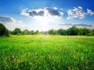 For sale Land Marrakech route de l Ourika