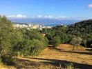 For sale Land Marrakech Palmeraie