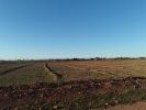 For sale Land Marrakech route de l Ourika