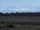 For sale Land Marrakech route de l Ourika