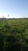For sale Land Marrakech route de Fes